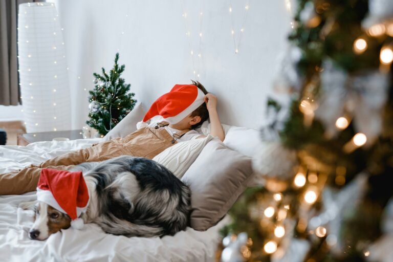 A boy and a dog in red Santa hat having fun on bed. Best friends. Christmas mood. Festive atmosphere