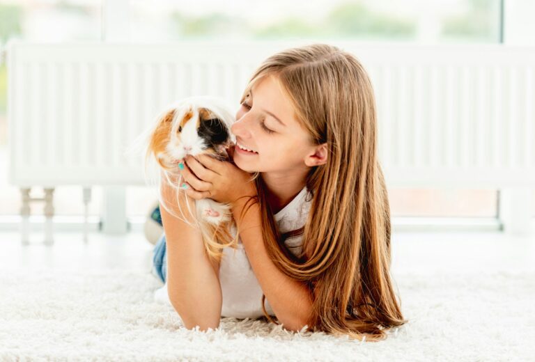 Young teen girl holding guinea pig on the floor