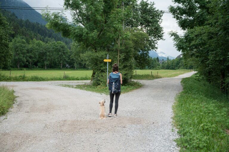Young woman with her dog standing at a crossing of trails in beautiful green summer nature